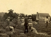 开云平台-关于立陶宛大胜！希腊难回天的信息