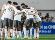 开云APP-欢呼雀跃的足球场上，球员们全力以赴挑战对手的简单介绍