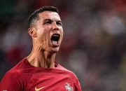 开云下载-纽卡斯尔客场告捷，全主户口的简单介绍