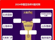 开云体育中国-上海申花领先，击败山东鲁能占据首位