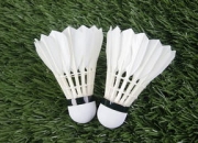 开云体育下载-日本羽毛球队险胜中国羽毛球队，李宗伟爆发神勇