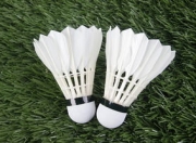 开云体育下载-日本羽毛球队险胜中国羽毛球队，李宗伟爆发神勇