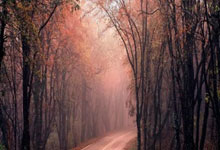 开云体育官方网站-DRX险胜TES，Meiko2惊艳世界——电竞荣耀背后的精彩瞬间