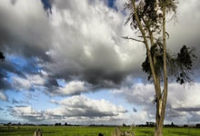 开云体育入口-Misfits完胜DRX2，Clid统治全场：荣耀的瞬间与未来的启示描述：在最近的电竞赛事中，Misfits团队以令人振奋的表现完胜DRX2，特别是Clid的绝佳发挥成为全场焦点。本文将带你深入解析比赛精彩瞬间，以及这场胜利背后的战术智慧与未来趋势。