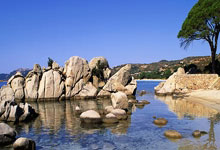 开云官网-韩国羽毛球队逆转泰国劲旅，安赛龙爆发神勇再显王者风采