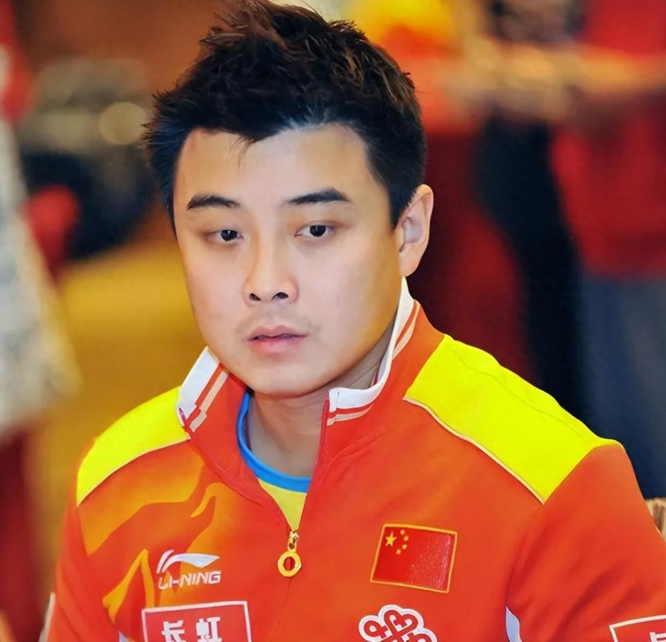 中国乒乓球队绝地反击德国乒乓球队，王皓惊艳世界的简单介绍